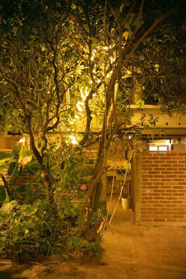 The Coffee Bean Hostel ซานกริสโตบัล เด ลาสกาซาส ภายนอก รูปภาพ