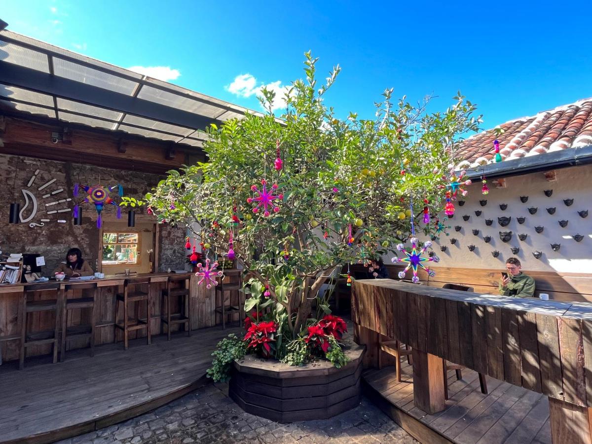 The Coffee Bean Hostel ซานกริสโตบัล เด ลาสกาซาส ภายนอก รูปภาพ